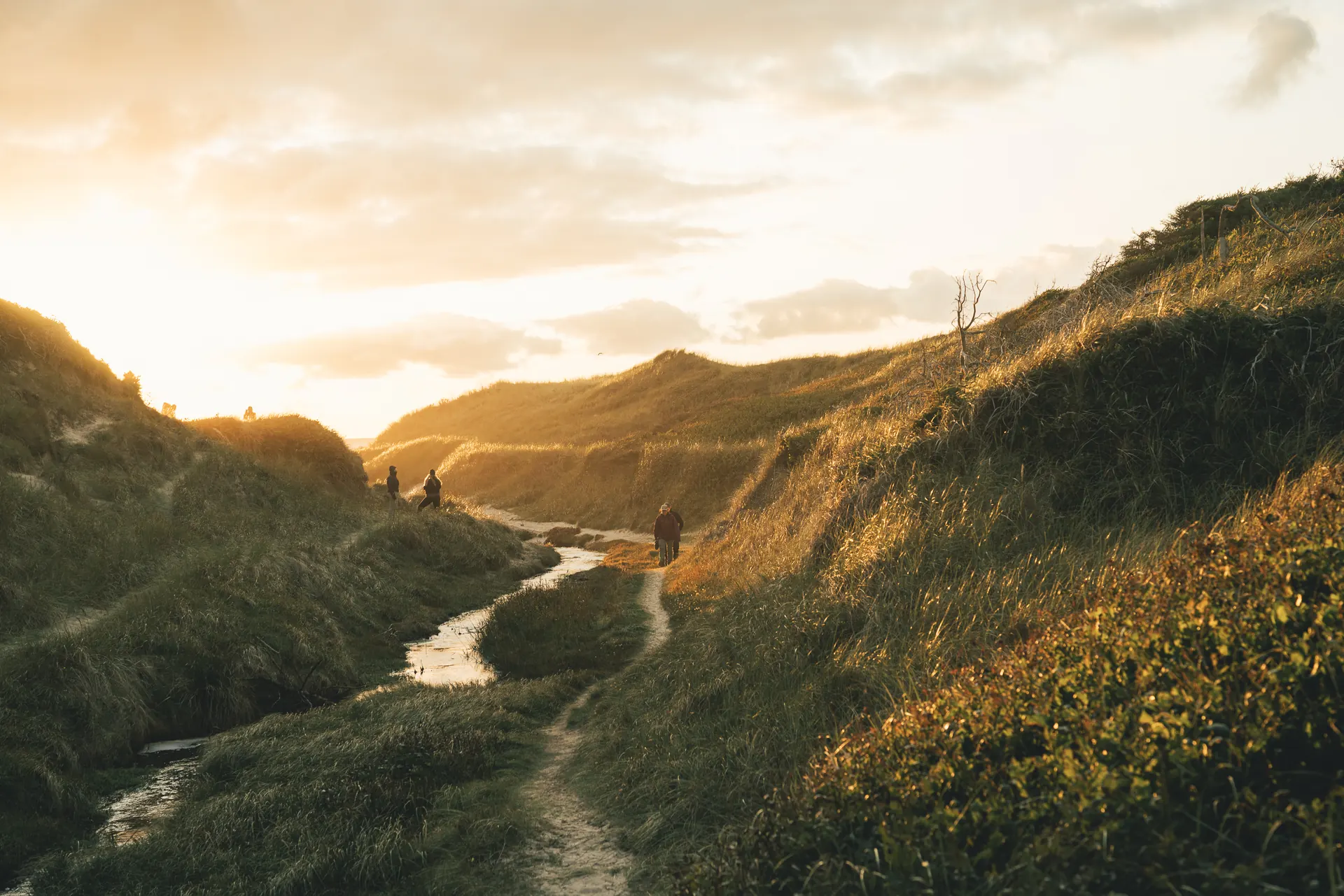Solnedgang over klitlandskab i Nationalpark Thy